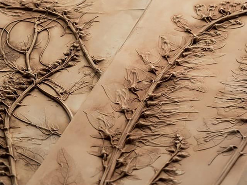 Arts and Crafts Workshops at Nature in Art