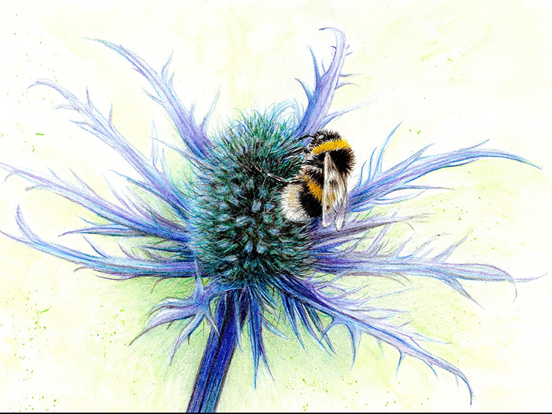 Arts and Crafts Workshops at Nature in Art