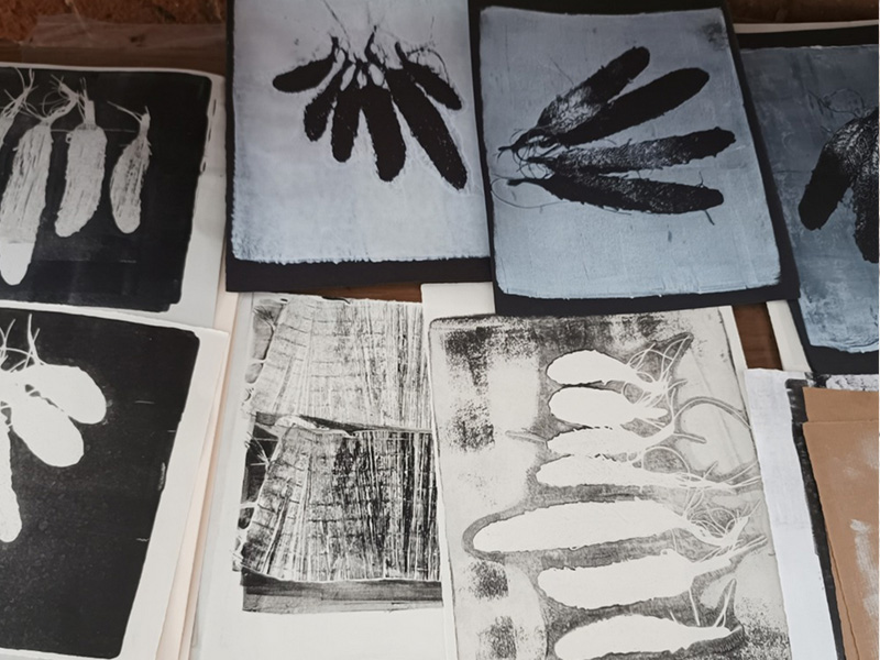 Arts and Crafts Workshops at Nature in Art