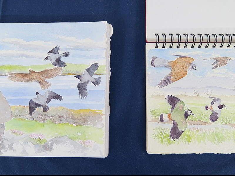 Arts and Crafts Workshops at Nature in Art