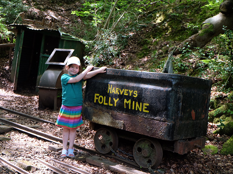 Summer Holidays at the Dean Heritage Centre