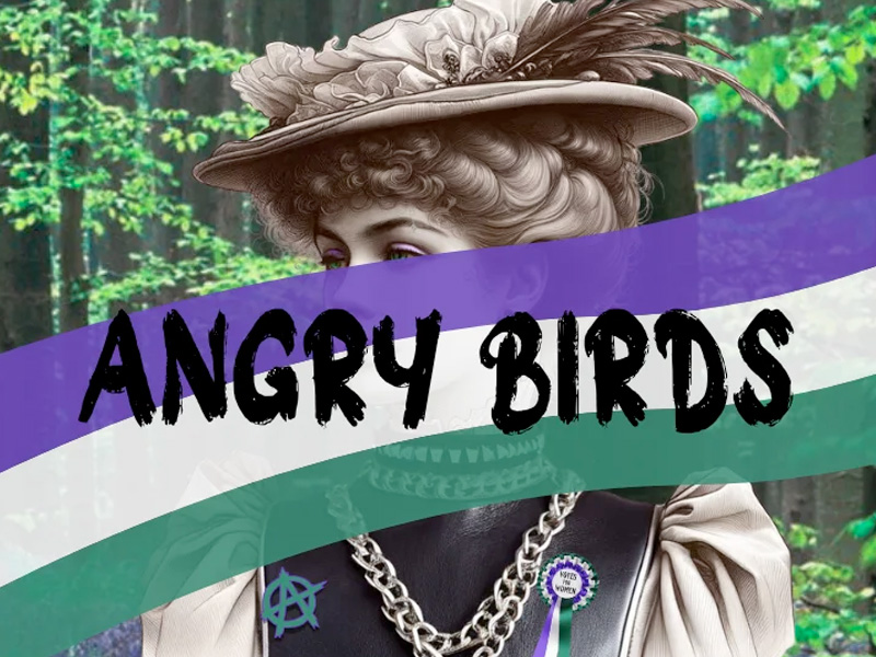 Angry Birds at the Everyman Theatre