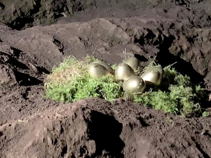 Easter Egg Hunt at Clearwell Caves