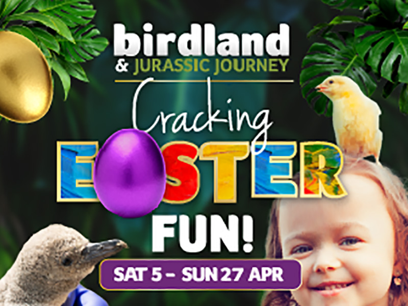 Easter Fun at Birdland Park & Gardens