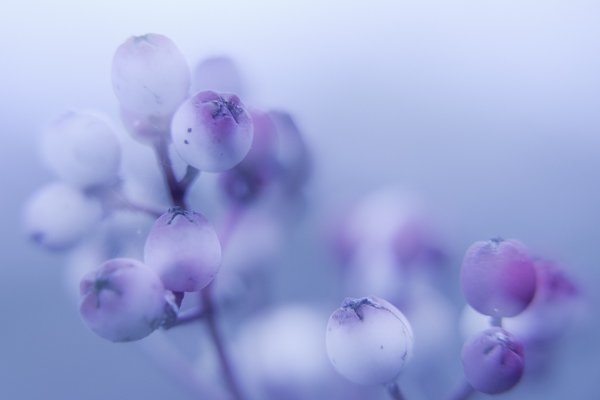 Photography Workshops in Gloucestershire