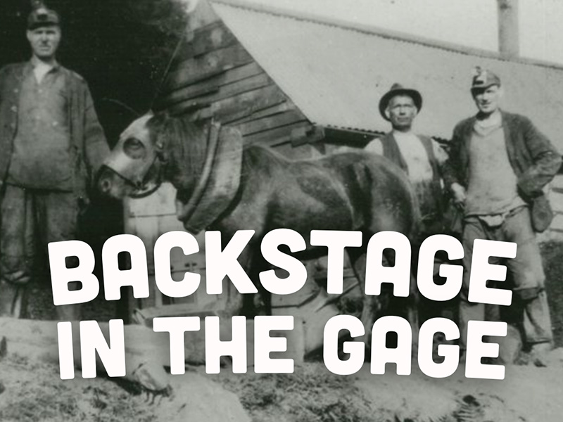Events at The Dean Heritage Centre in Gloucestershire