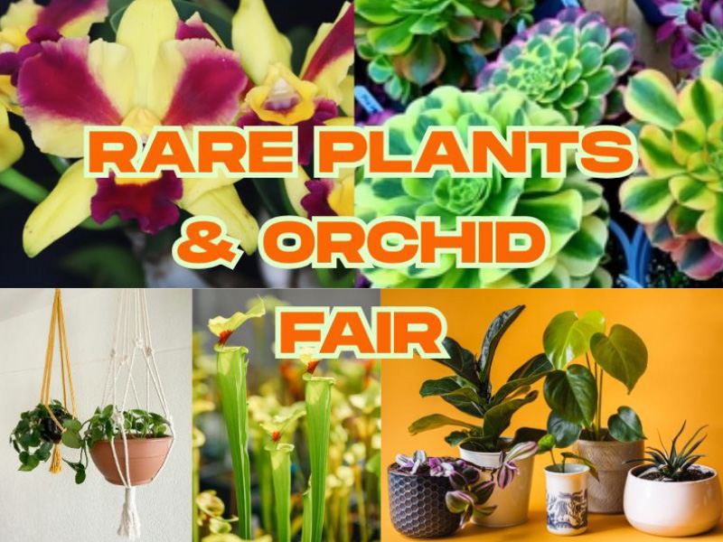 Gloucestershire Rare Plants & Orchid Fair