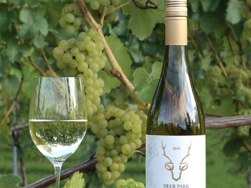 Wine Tasting with Deer Park Wines at The Roses Theatre