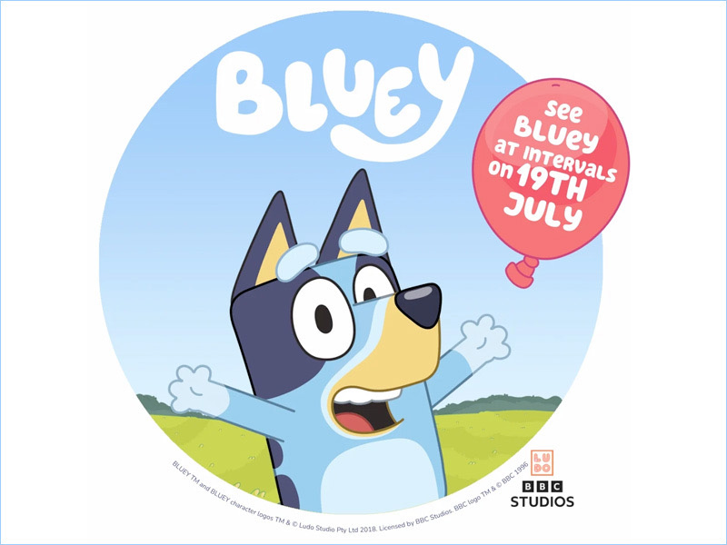 Bluey at Over Countryside Adventure