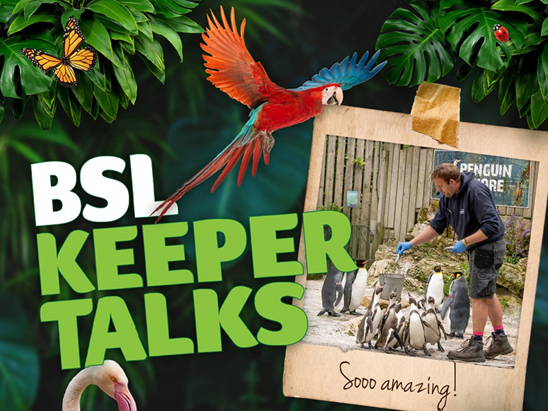 What's on at Birdland