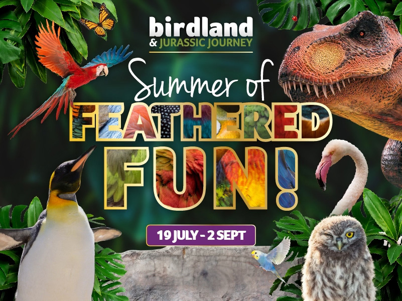 What's on at Birdland