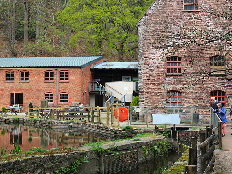 Events at The Dean Heritage Centre in Gloucestershire