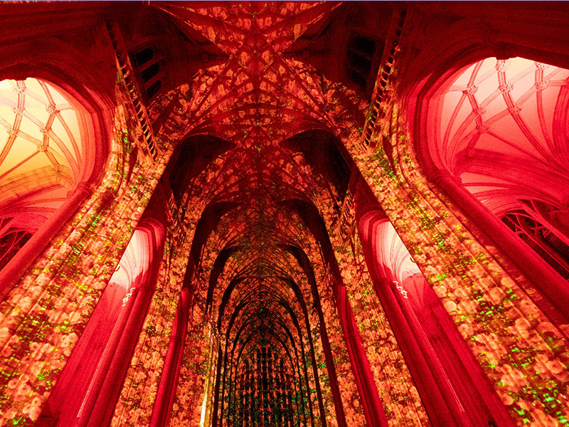 Poppy Fields by Luxmuralis at Gloucester Cathedral