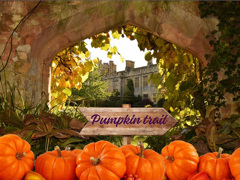 What's On at Sudeley Castle
