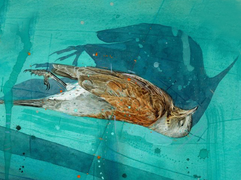 Exhibitions at Nature in Art