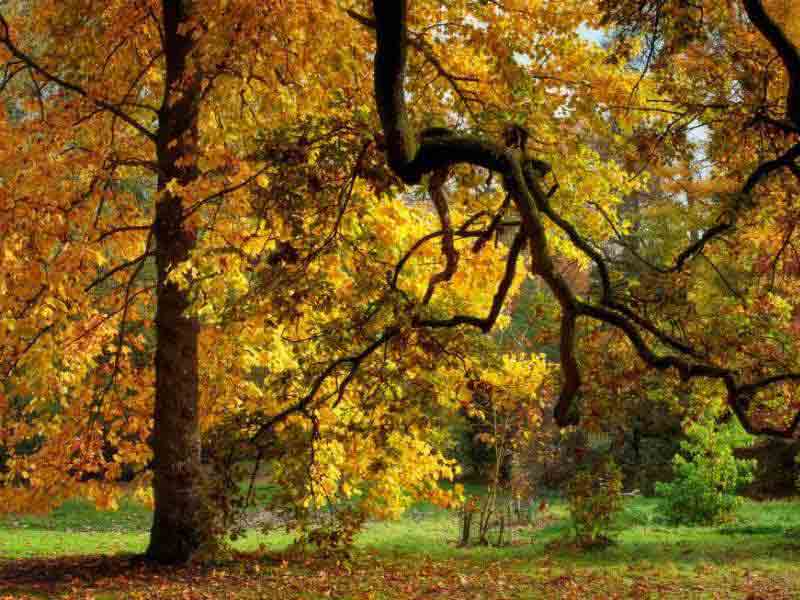 Photography Workshops in Gloucestershire