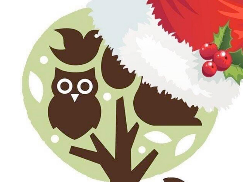 Candlelit Christmas Concert in Aid of Vale Wildlife Hospital