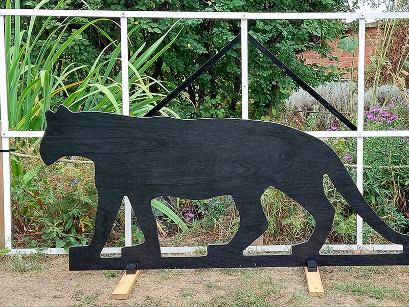 Events at The Dean Heritage Centre in Gloucestershire