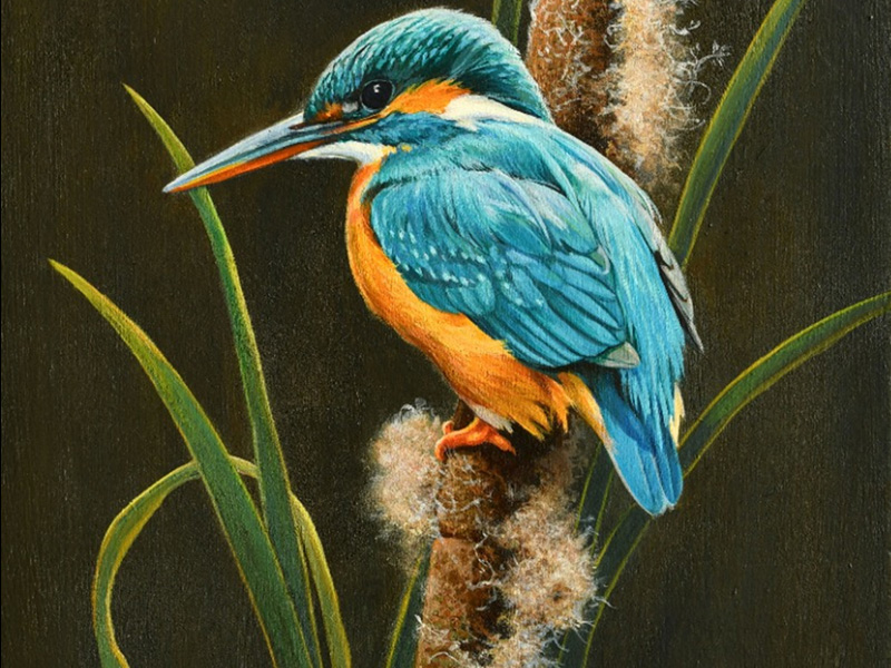 Arts and Crafts Workshops at Nature in Art