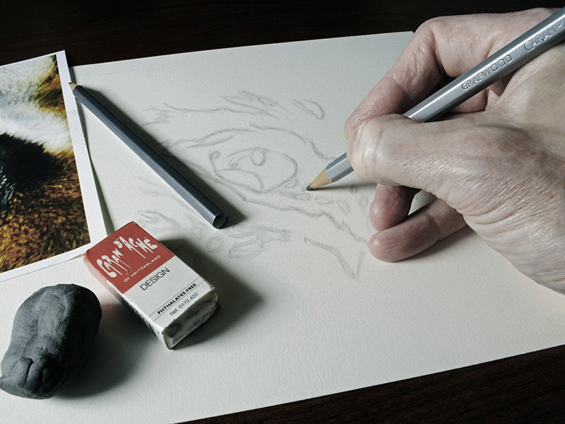 Arts and Crafts Workshops at Nature in Art