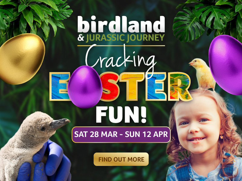 Birdland & Jurassic Journey Easter event in Bourton-on-the-Water