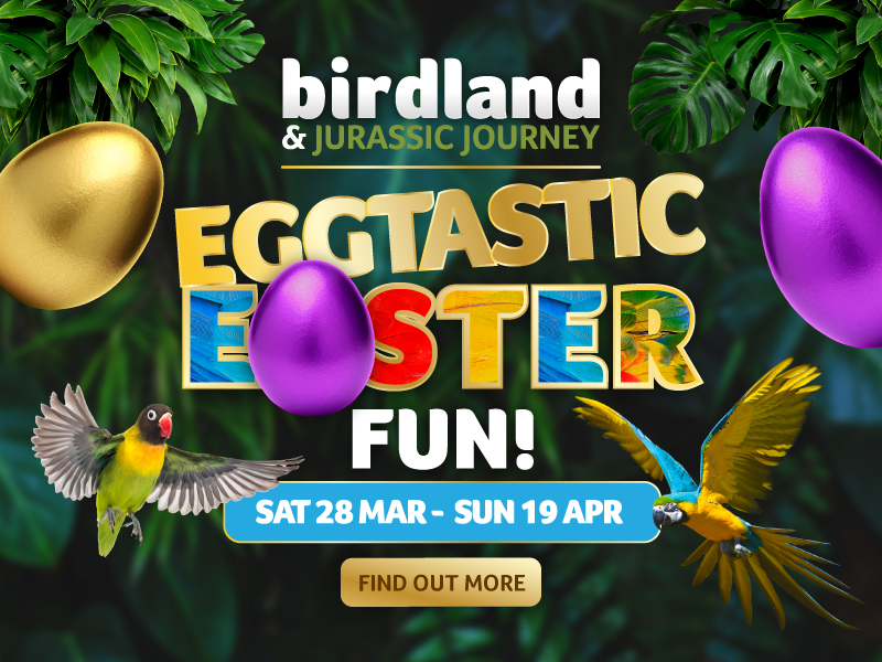 Cracking Easter Fun at Birdland & Jurassic Journey