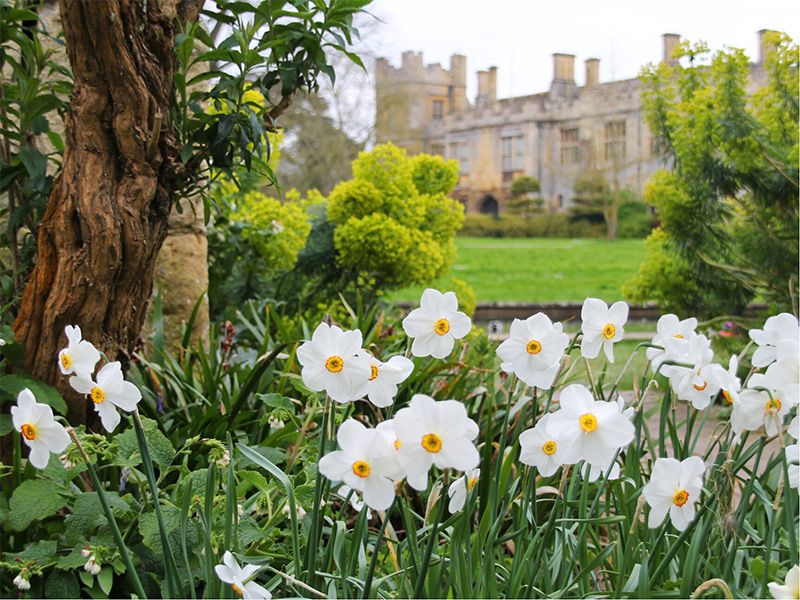 Mother's Day Weekend and Sudeley Castle Opening