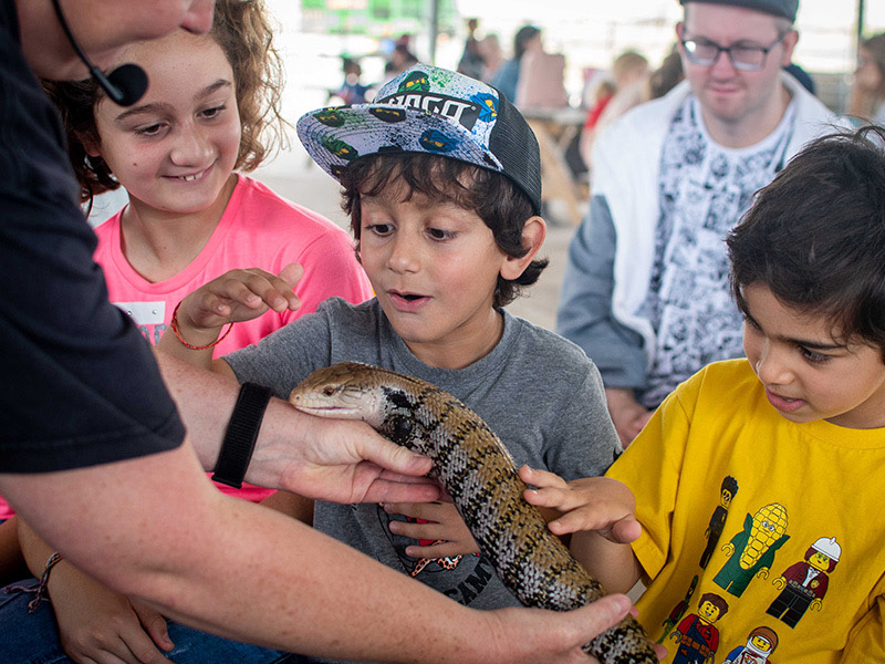 It May be Wild! at Over Farm's Countryside Adventure