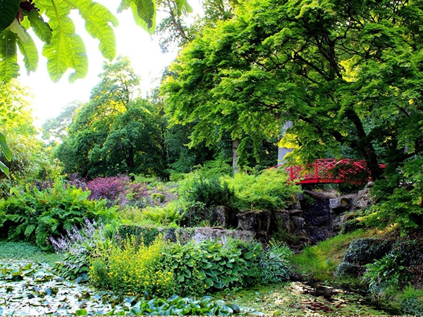 May Half Term at Batsford Arboretum