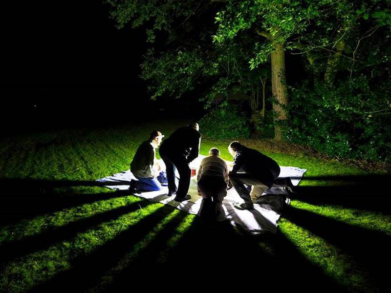 Moth Discovery Evening at Batsford Arboretum