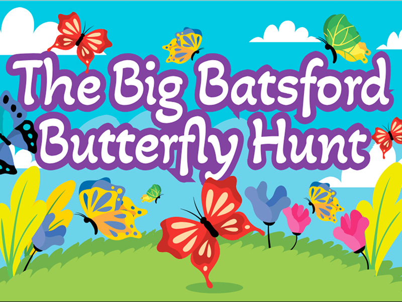 The Big Batsford Butterfly Hunt!