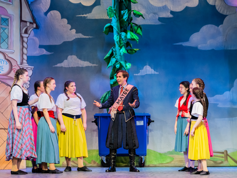 Pantomime Chorus Auditions at The Roses Theatre