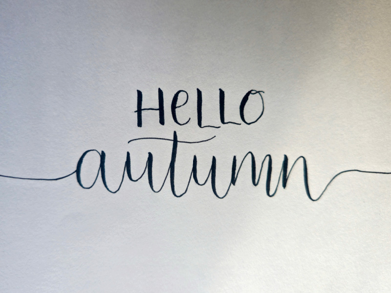 Cosy Calligraphy at The Roses Theatre