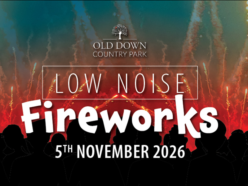 Low Noise Fireworks at Old Down Country Park