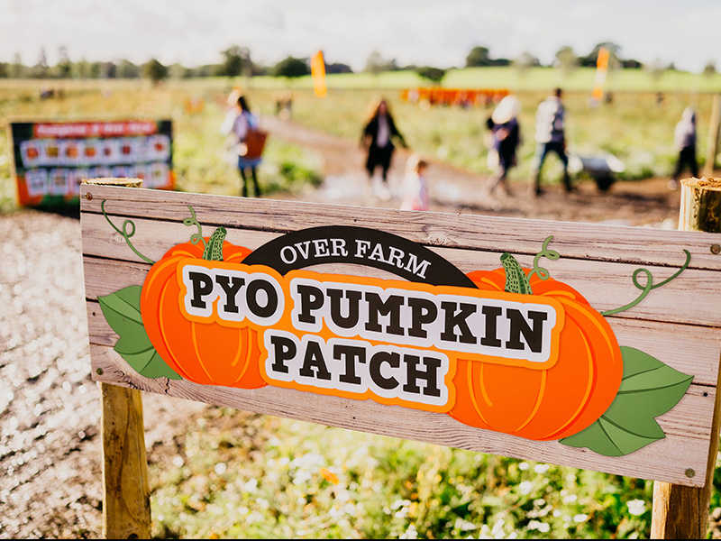 Pick Your Own Pumpkins at Over Farm