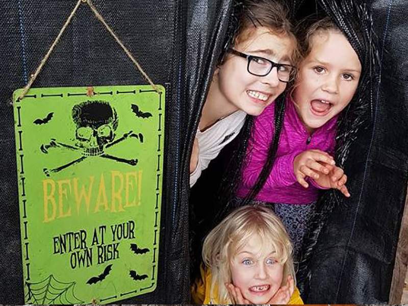 Halloween Farm Trail & Pumpkin Picking at Primrose Vale