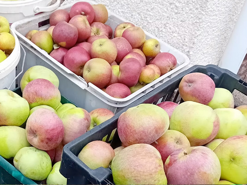 Apple Day at The Dean Heritage Centre