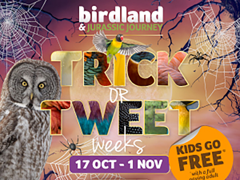 Trick or Treet Week at Birdland and Jurassic Journey