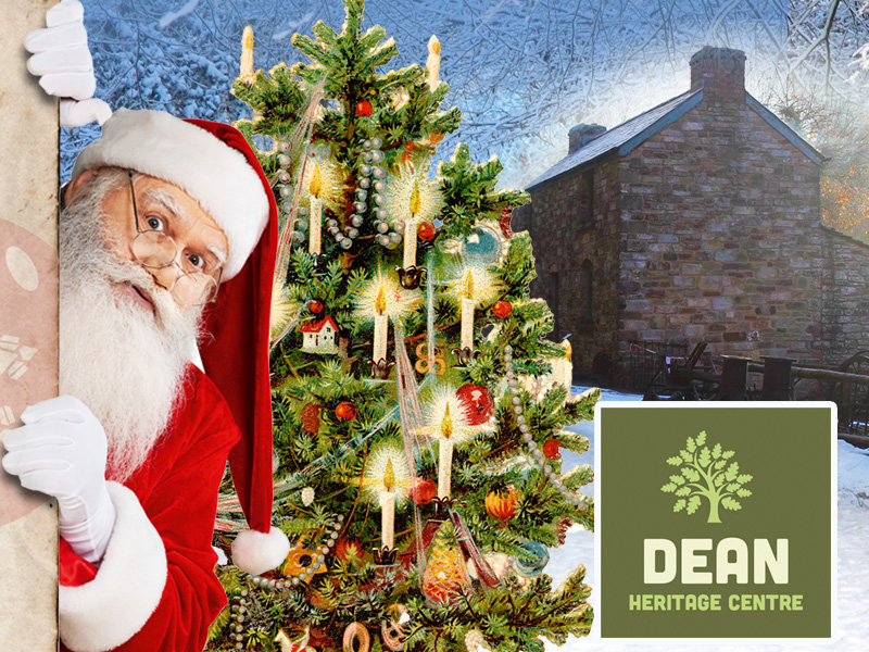 Santa in the Forest of Dean