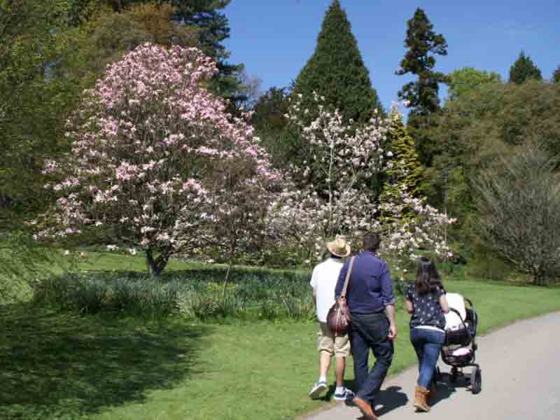 Mothering Sunday at Batsford Arboretum