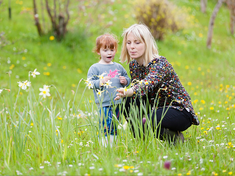 Events at National Trust properties in Gloucestershire