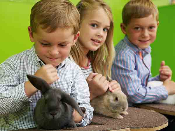 Easter at Adam Henson's Cotswold Farm Park