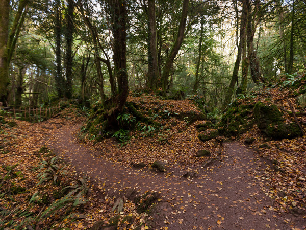 Outdoor theatre in the Forest of Dean, Gloucestershire Puzzlewood