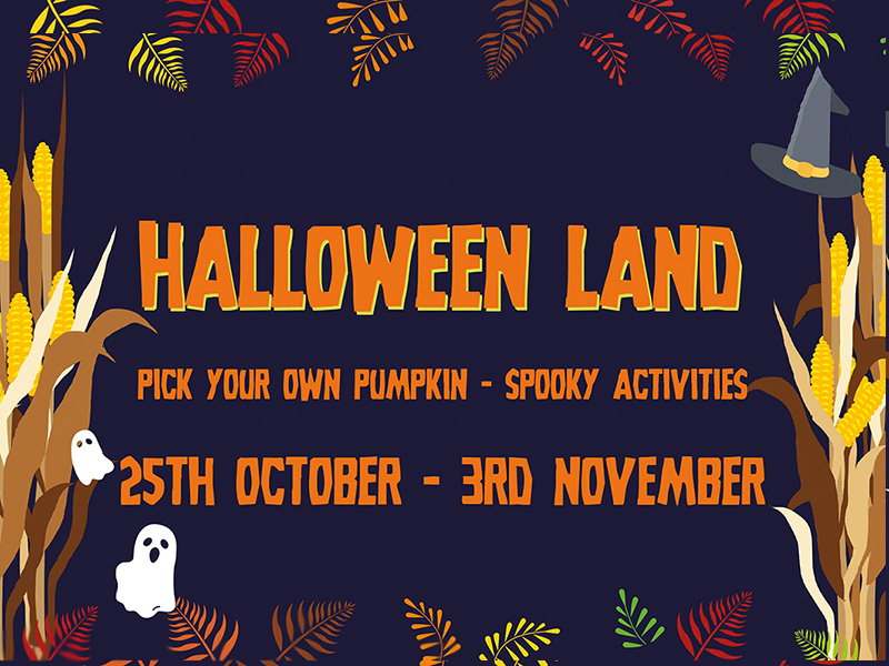 Halloween Events at Cotswold Farm Park