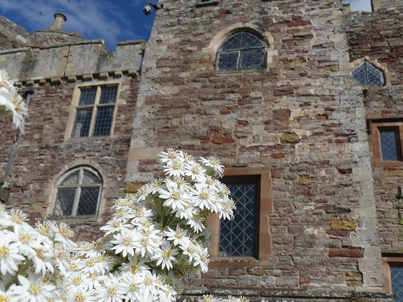 Whats on  at Berkeley Castle