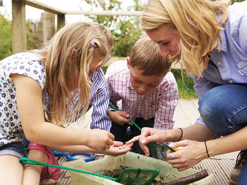 Events at Adam Henson's Cotswold Farm Park