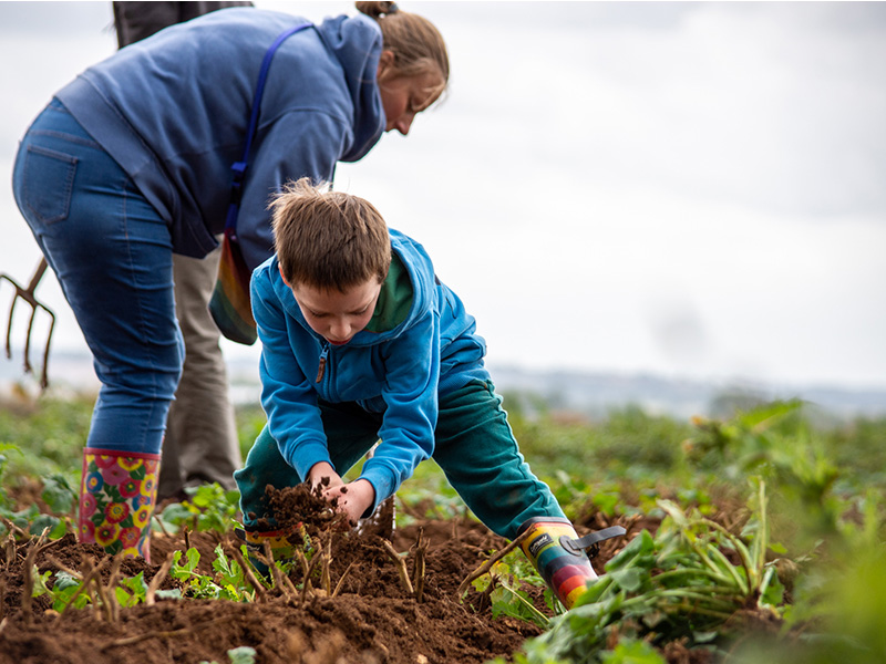 Events at Adam Henson's Cotswold Farm Park