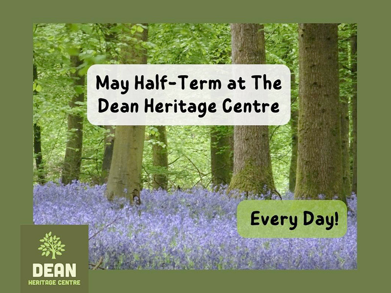 Events at The Dean Heritage Centre in Gloucestershire