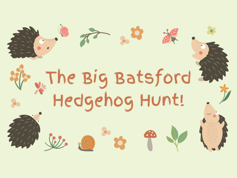 The Big Batsford Hedgehog Hunt!