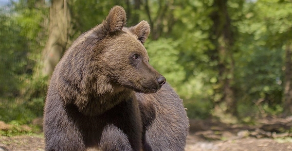 Bristol Zoo Project in South Gloucestershire